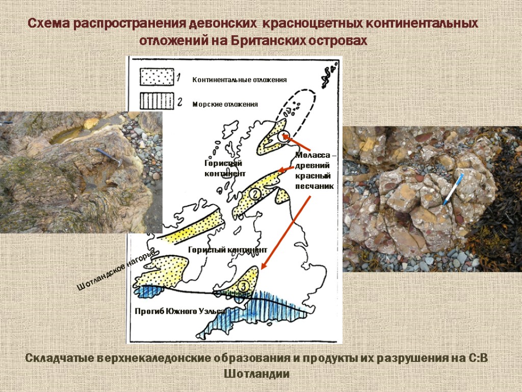 Континентальные отложения Морские отложения Гористый континент Моласса – древний красный песчаник Гористый континент Прогиб